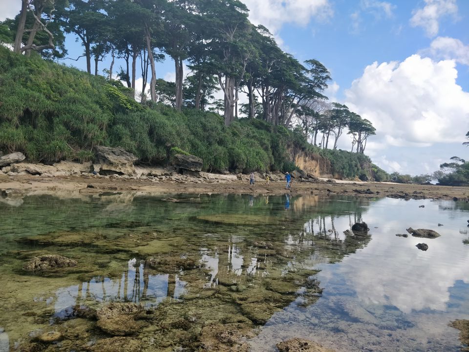 Photo of Islands of Andaman: Neil Island 3/5 by RUCHI PANDYA