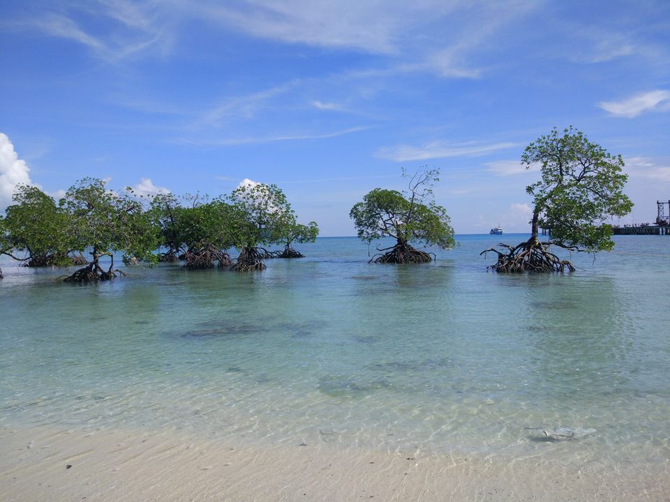 Photo of Islands of Andaman: Neil Island 5/5 by RUCHI PANDYA