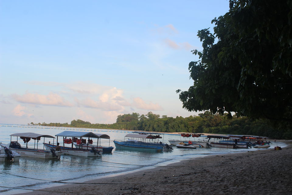 Photo of Islands of Andaman: Neil Island 4/5 by RUCHI PANDYA