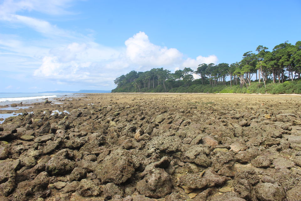 Photo of Islands of Andaman: Neil Island 2/5 by RUCHI PANDYA