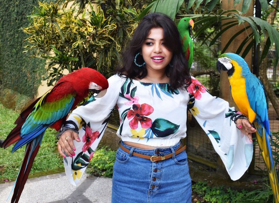 Photo of Bali - Bird park , Kintamani, Bali sing by Riya R Jain