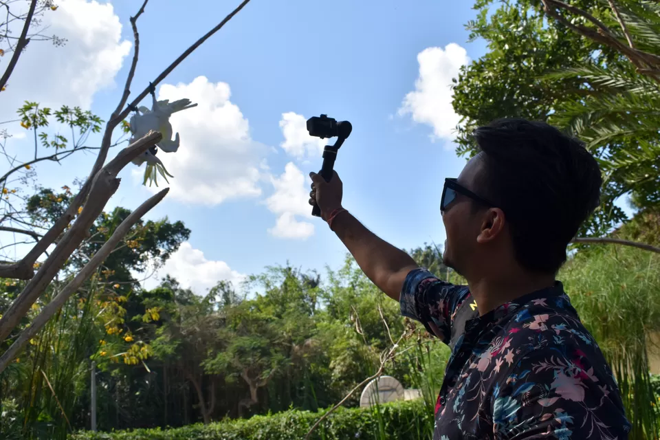 Photo of Bali Bird Park, Batubulan, Gianyar, Bali, Indonesia by Riya R Jain