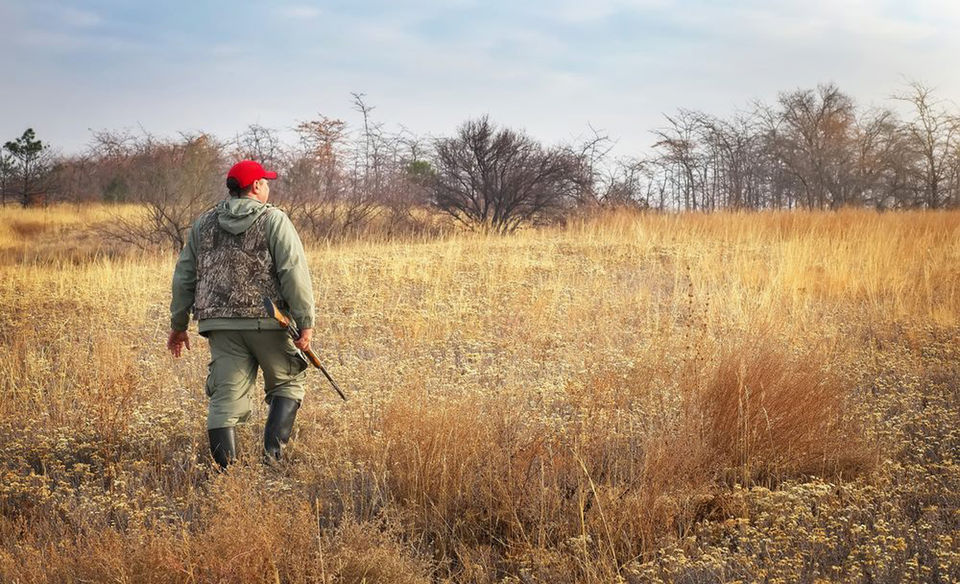 Photo of Tips for Summer Varmint Hunts by Mohammad Mukit Ibn Siddique