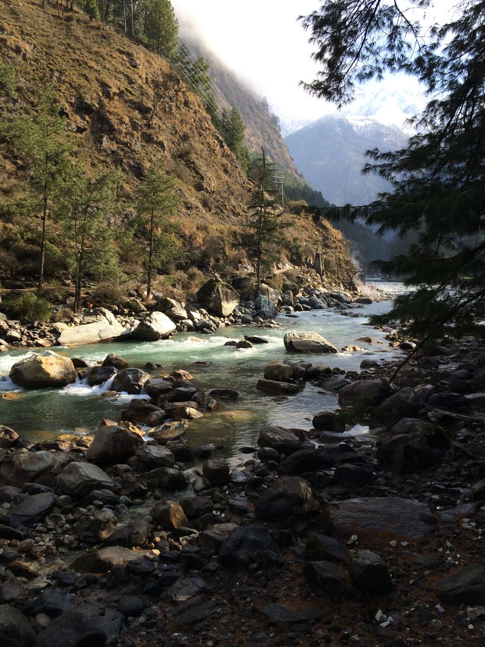 Photo of High in the Himalayas - Manali, Kasol, Tosh & Malana 6/13 by Dharmesh Patel