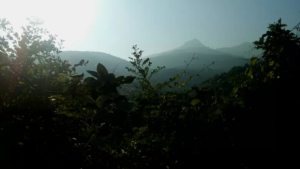 Photo of Parasnath Hills- A jain pilgrim,a hidden jewel by Harsh Tyagii