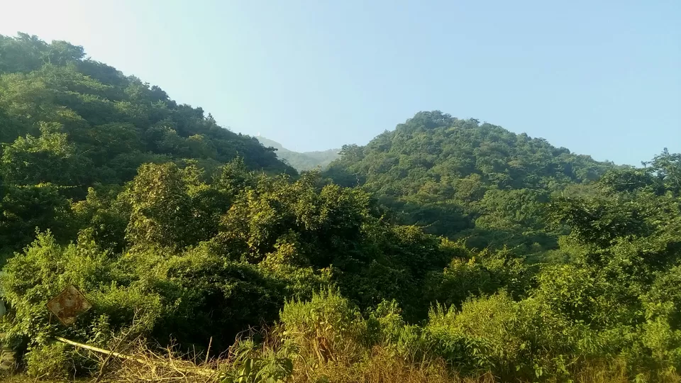 Photo of Parasnath Hills- A jain pilgrim,a hidden jewel by Harsh Tyagii