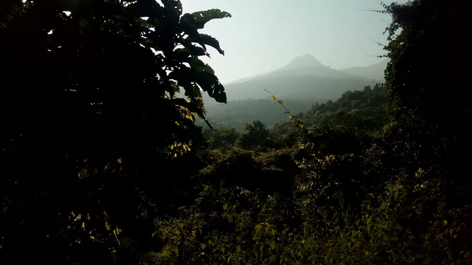 Photo of Parasnath Hills- A jain pilgrim,a hidden jewel by Harsh Tyagii
