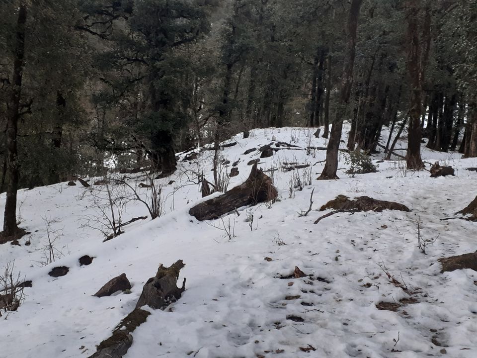 Photo of Nag Tibba Trek- Everest of First Timers by Harsh Tyagii