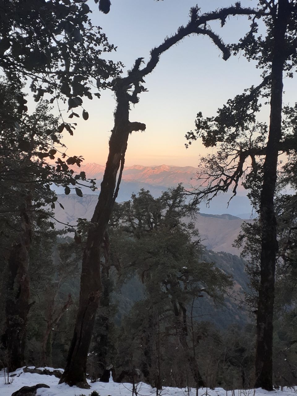 Photo of Nag Tibba Trek- Everest of First Timers by Harsh Tyagii