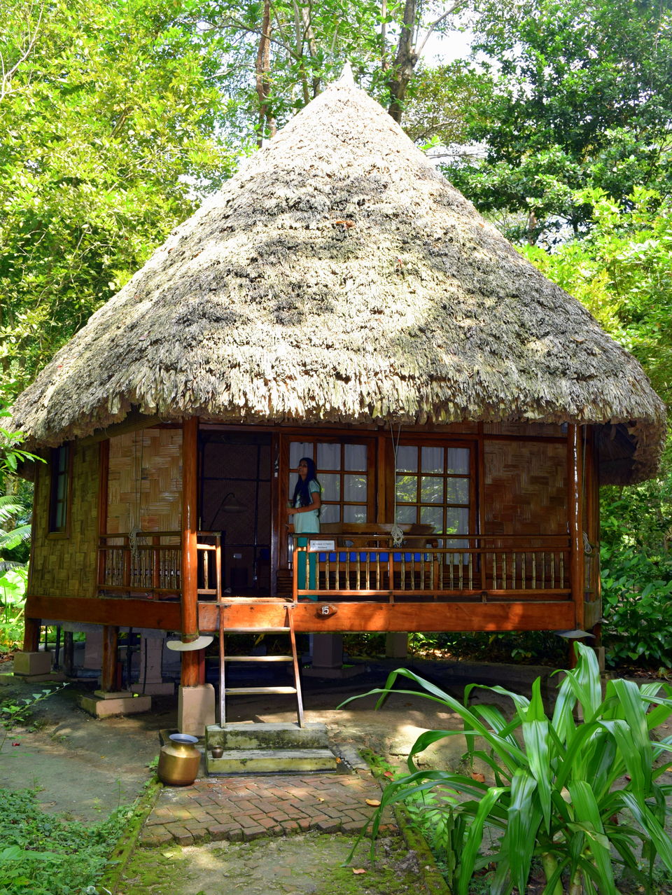 Photo of Havelock Island, Andaman and Nicobar Islands by The Rovers Trail