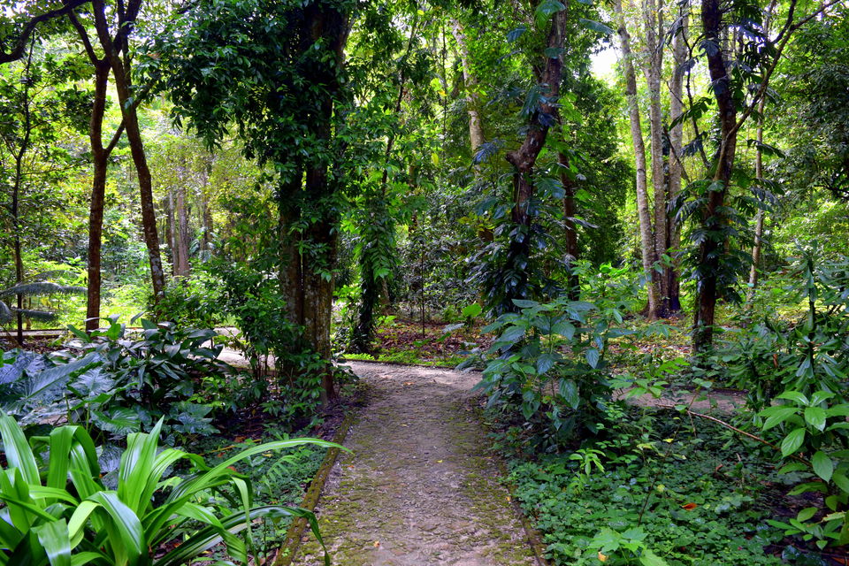 Photo of Havelock Island, Andaman and Nicobar Islands by The Rovers Trail