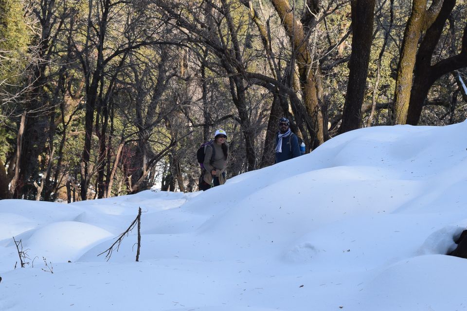 Photo of When love bloomed in the winters of Himalayas #loveontheroad by The Rovers Trail