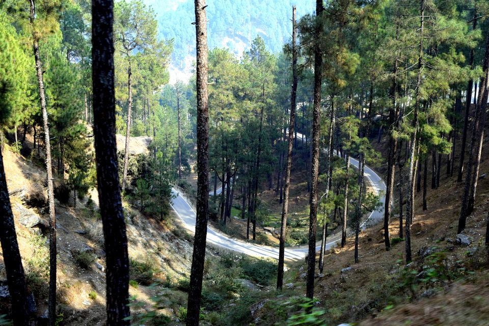 Photo of Sankri - The remote Himalayan village in Uttarakhand #Part1 by The Rovers Trail