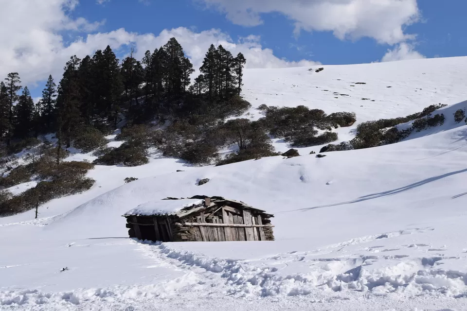Photo of 10 Things to do in Sankri - The remote Himalayan village in Uttarakhand #Part2 by The Rovers Trail
