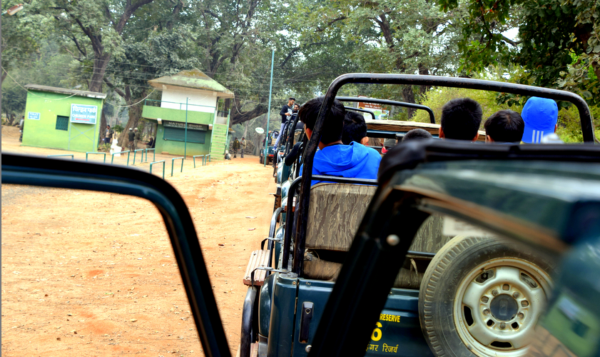 Photo of How to book your safari for Bandhavgarh Tiger Reserve? by The Rovers Trail