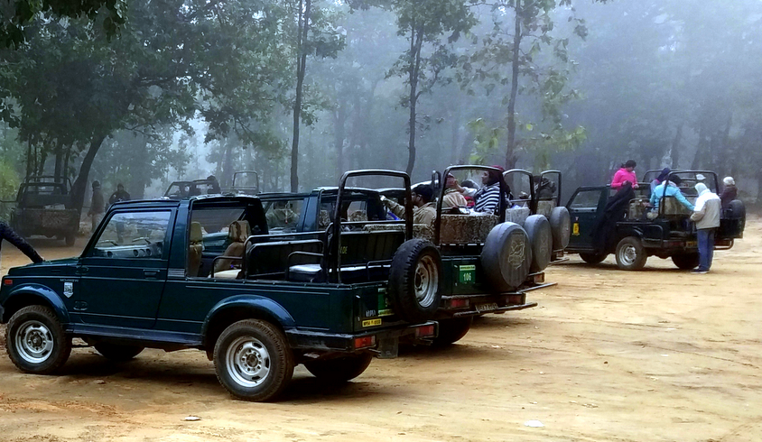 Photo of Lemon Tree Wildlife Resort Bandhavgarh, Bandhavgarh, Madhya Pradesh, India by The Rovers Trail