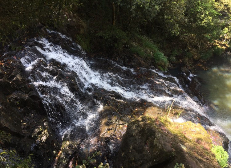 Photo of Shillong, Meghalaya, India by Wander with Sakshi