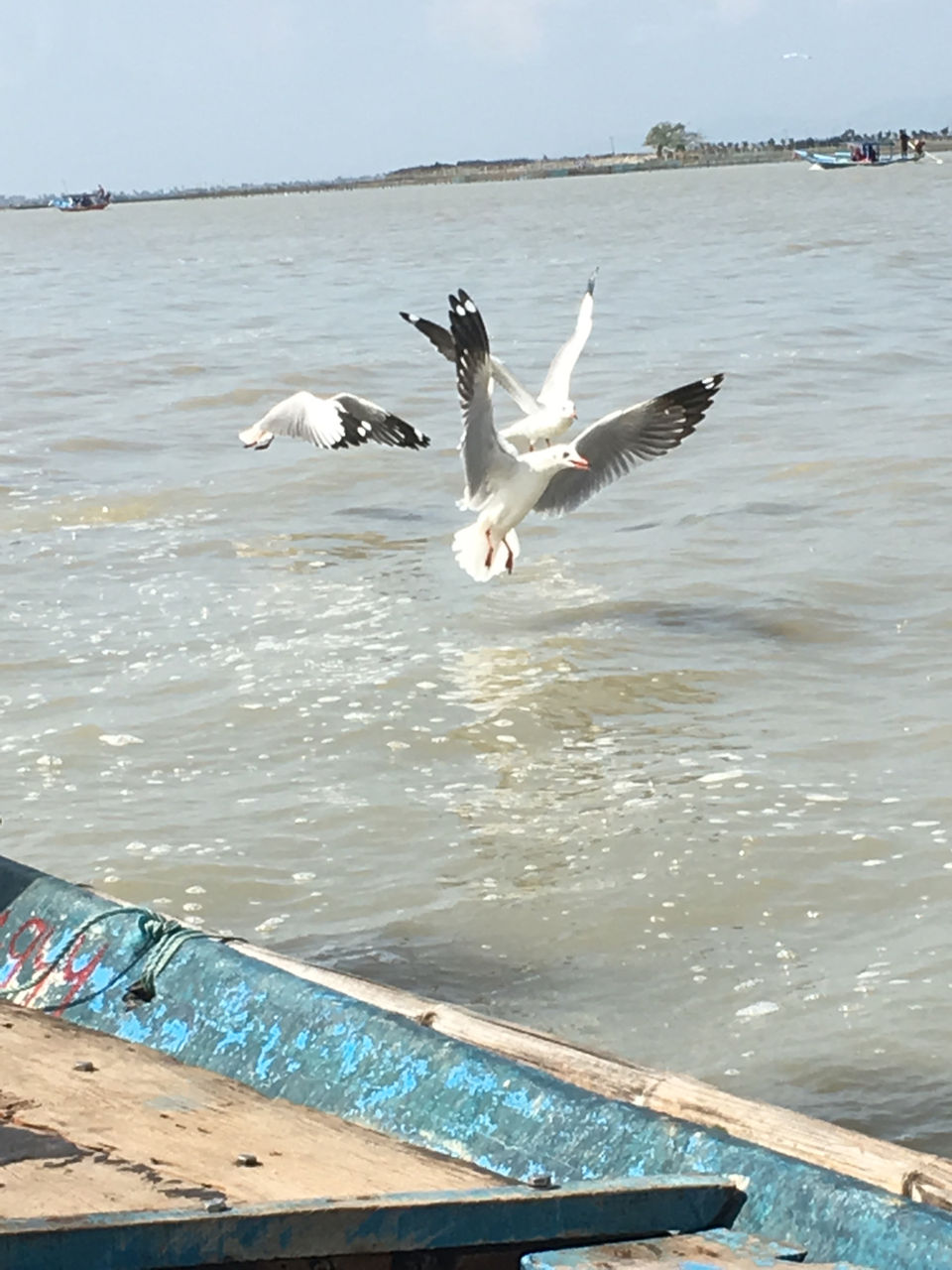 Photo of Chilika Lake, Odisha by Wander with Sakshi