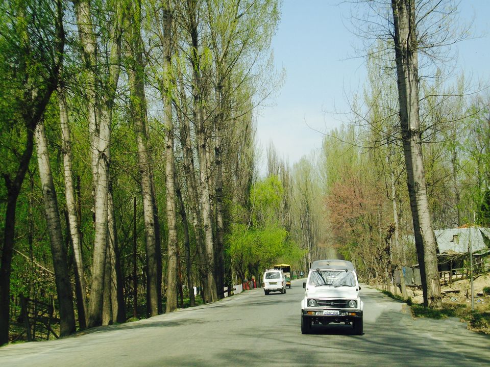 Photo of Sonamarg by Wander with Sakshi