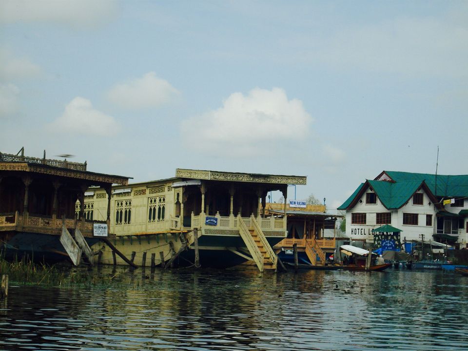 Photo of Dal Lake, Srinagar by Wander with Sakshi