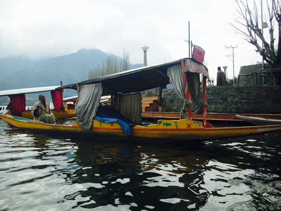 Photo of Dal Lake, Srinagar by Wander with Sakshi