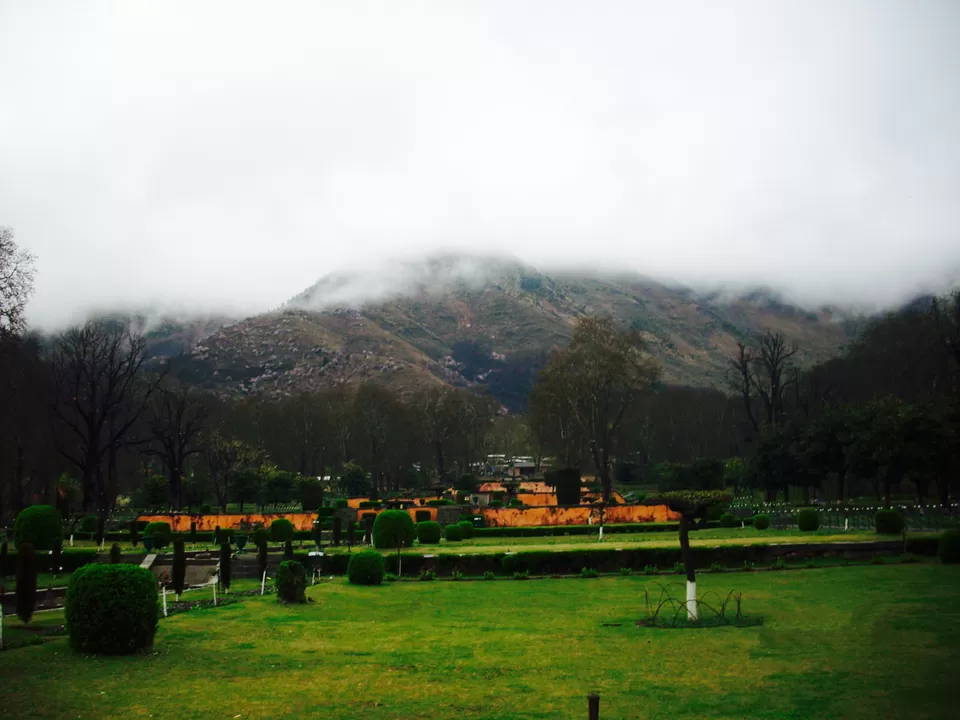 Photo of Nishat Garden, Srinagar by Wander with Sakshi