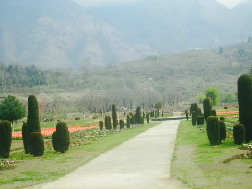 Photo of Nishat Garden, Srinagar by Wander with Sakshi