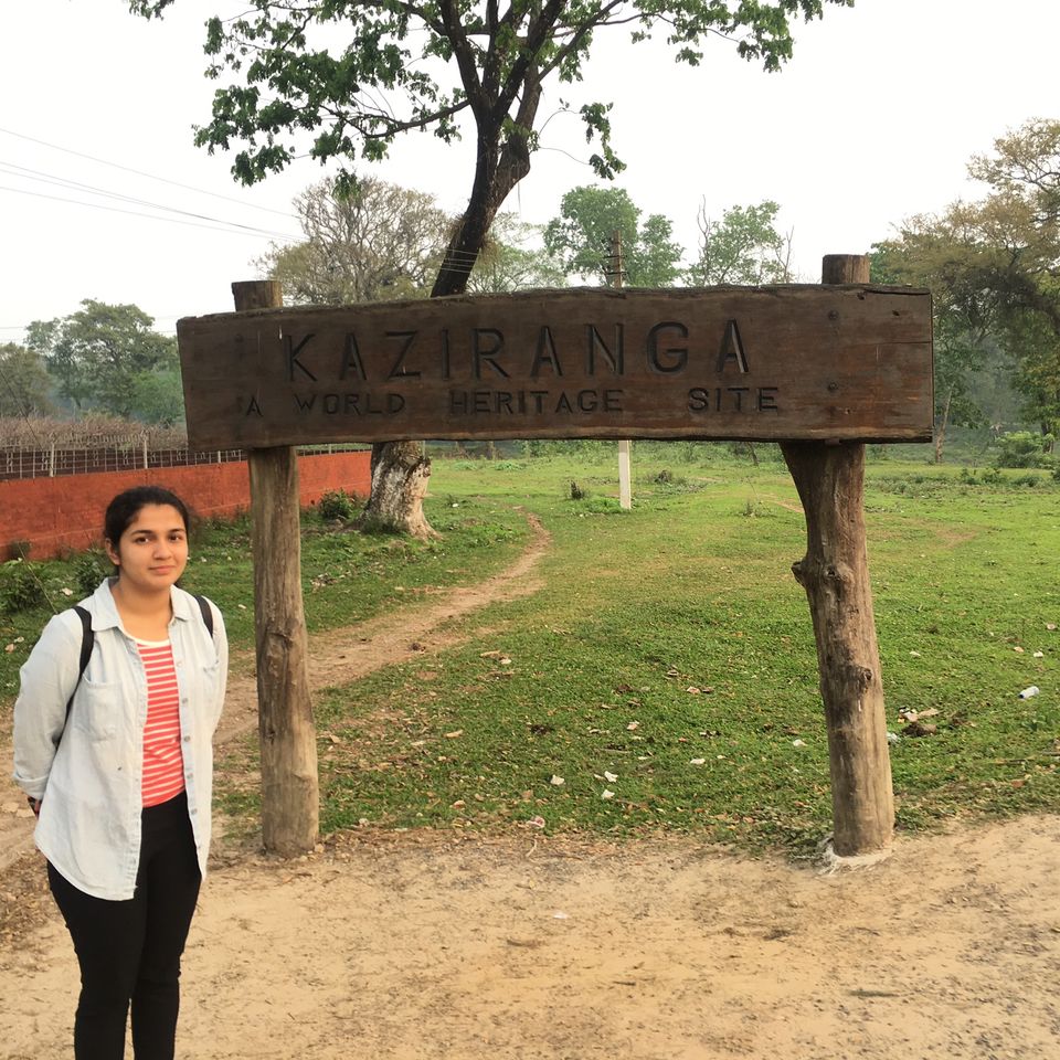 Photo of Kaziranga National Park, Kanchanjuri, Assam, India by Wander with Sakshi