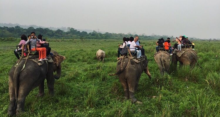 Photo of Kaziranga National Park, Kanchanjuri, Assam, India by Wander with Sakshi