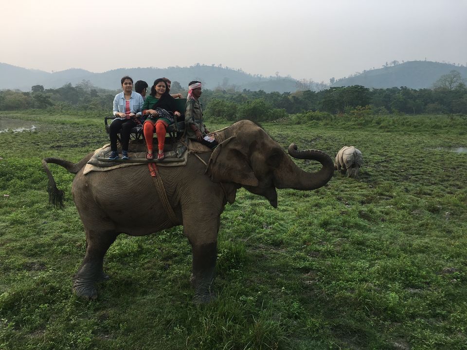 Photo of Kaziranga National Park, Kanchanjuri, Assam, India by Wander with Sakshi