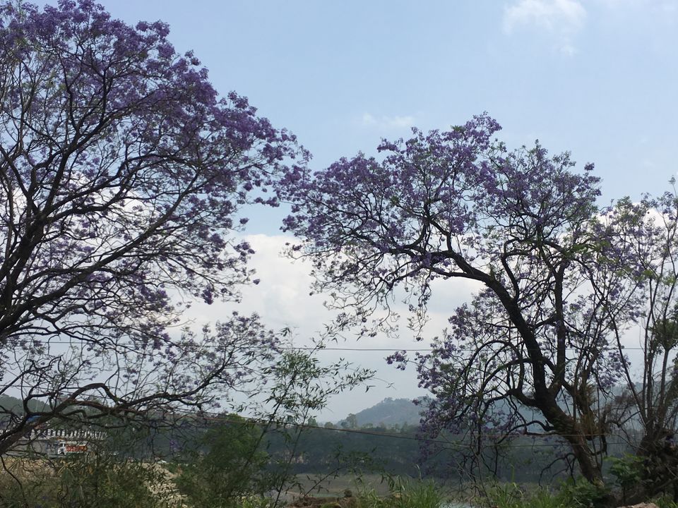 Photo of Wander Often, Wonder Always. by Sakshi Singh