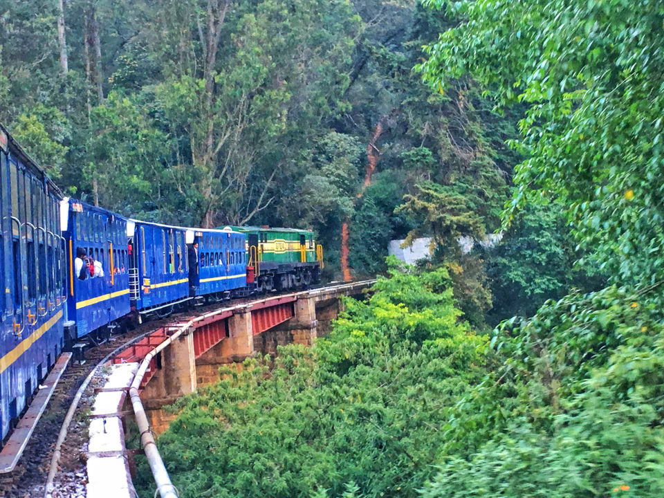 Photo of Coonoor- The quaint and charming hill station near Ooty 7/11 by Wander with Sakshi