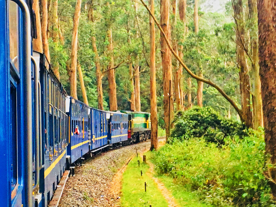 Photo of Coonoor- The quaint and charming hill station near Ooty 8/11 by Wander with Sakshi