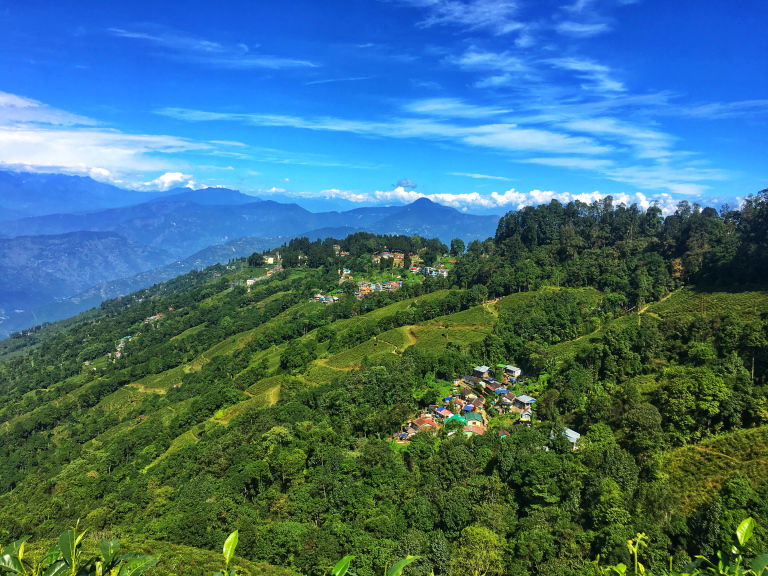 Photo of Darjeeling : Where snow-capped Kanchenjunga meets lush green Tea Gardens by Wander with Sakshi