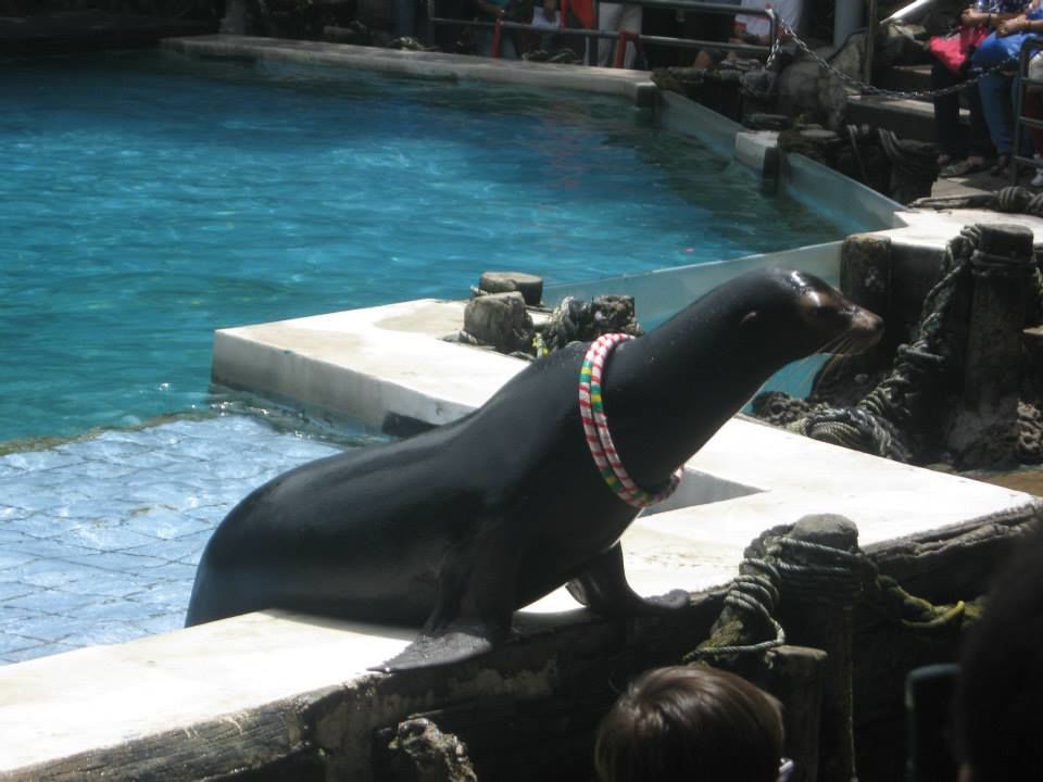 Photo of THAILAND- Adventure in Bangkok and Pattaya 3/7 by Wander with Sakshi