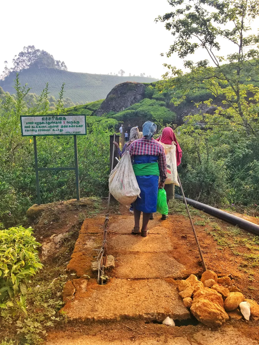 Photo of Munnar, Kerala, India by Wander with Sakshi