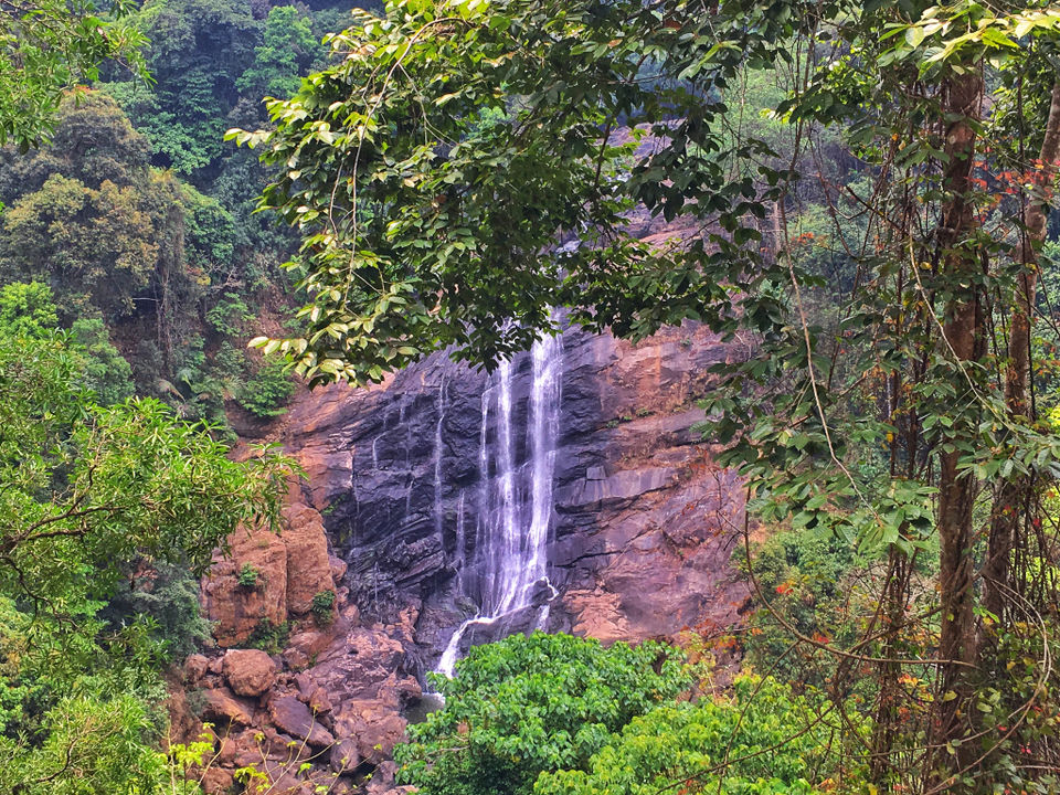 Photo of Munnar : The story behind a cup of tea by Wander with Sakshi