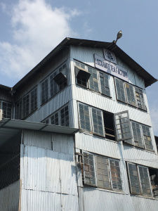 Photo of Munnar : The story behind a cup of tea by Wander with Sakshi