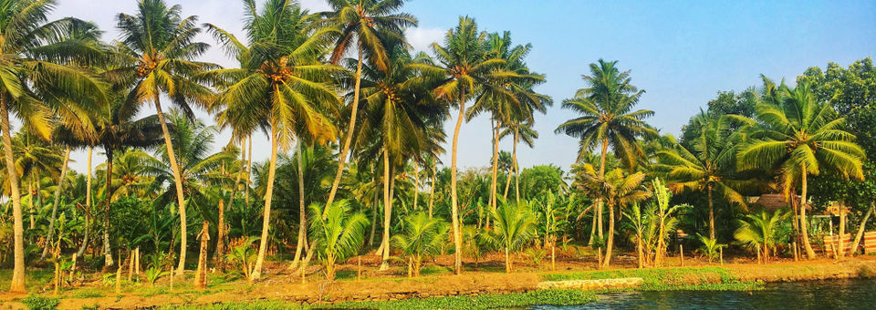 Photo of Kerala Backwaters- A magical place where time stands still by Wander with Sakshi