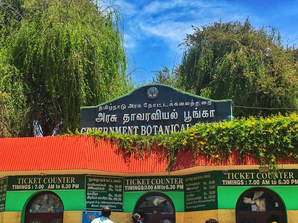 Photo of Ooty, Tamil Nadu, India by Wander with Sakshi