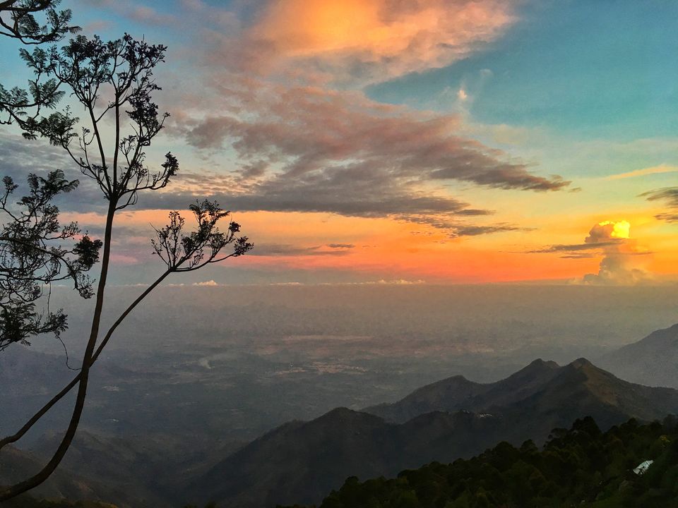 Photo of Kodaikanal – Beautiful Gift of the forest by Wander with Sakshi