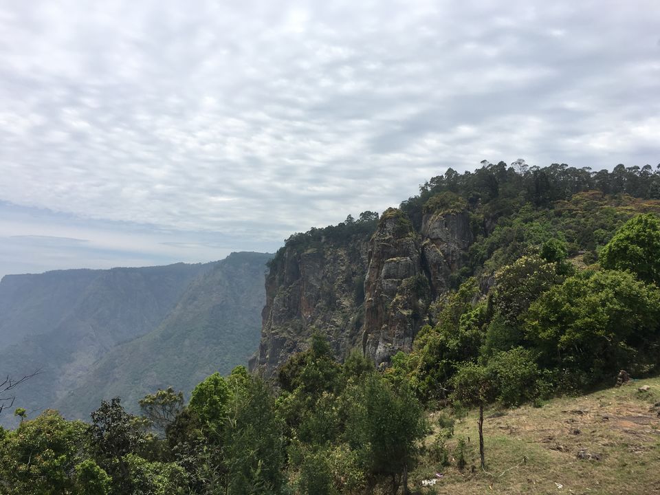 Photo of Kodaikanal – Beautiful Gift of the forest by Wander with Sakshi