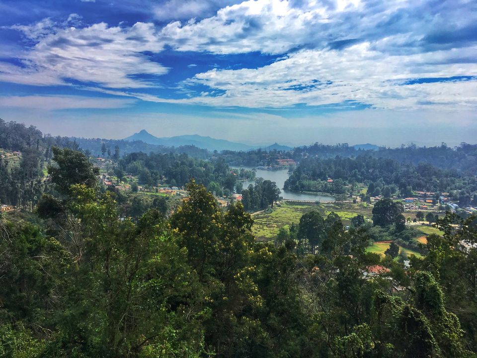 Photo of Kodaikanal – Beautiful Gift of the forest by Wander with Sakshi