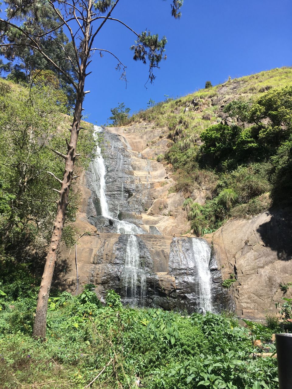 Photo of Kodaikanal – Beautiful Gift of the forest by Wander with Sakshi