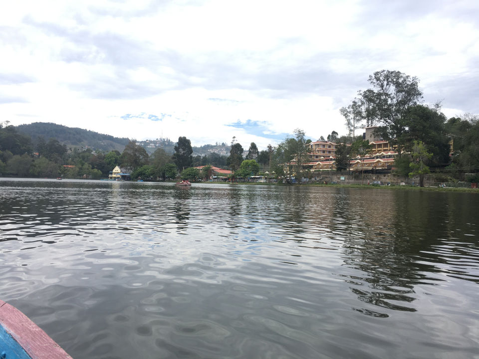 Photo of Kodaikanal – Beautiful Gift of the forest by Wander with Sakshi
