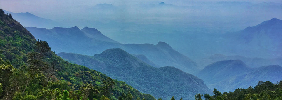 Photo of Kodaikanal – Beautiful Gift of the forest by Wander with Sakshi