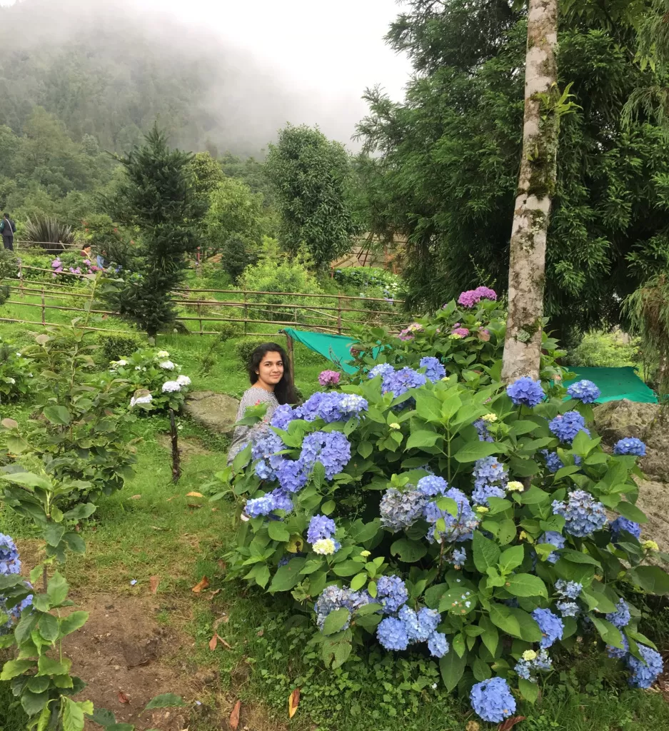 Photo of Gangtok, Sikkim, India by Wander with Sakshi