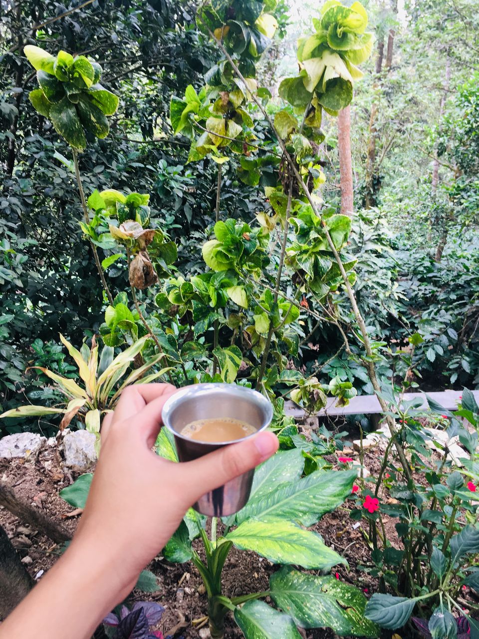 Photo of Solo girl backpacking in Coorg by Wander with Sakshi