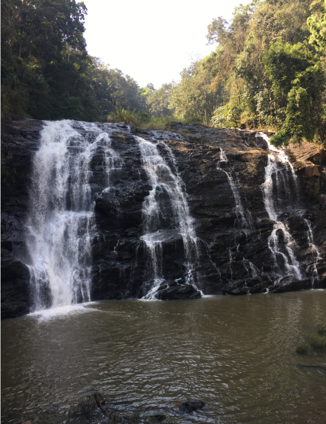 Photo of Abbey Falls Madikeri, Abbey Falls Road, Hebbettageri, Karnataka, India by Wander with Sakshi