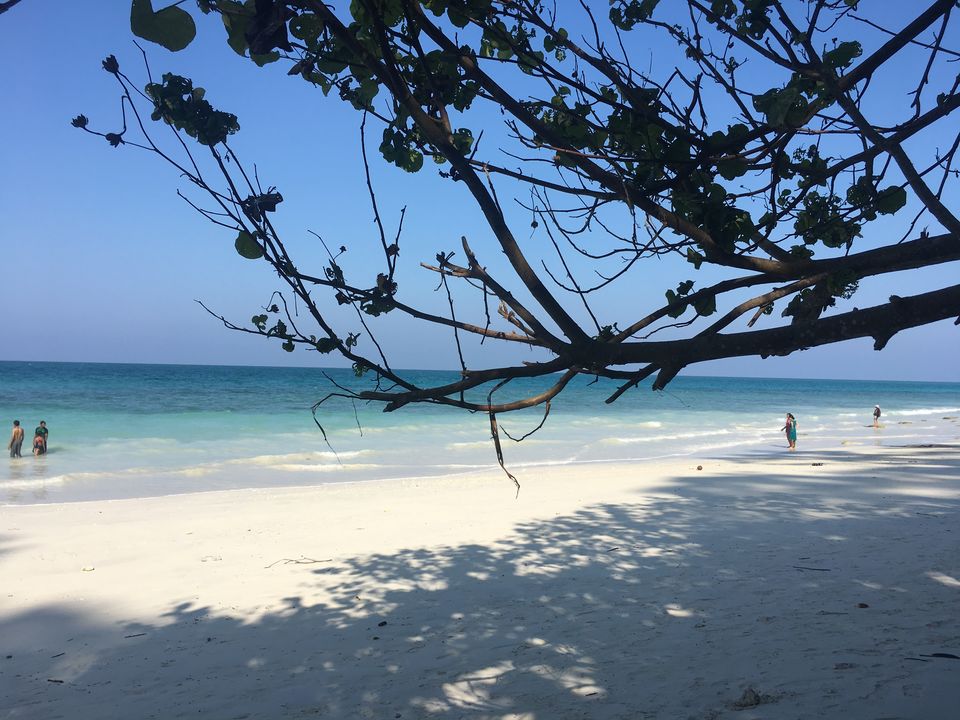 Photo of Holidaying at Havelock Island Beach Resort- A memorable experience by Wander with Sakshi